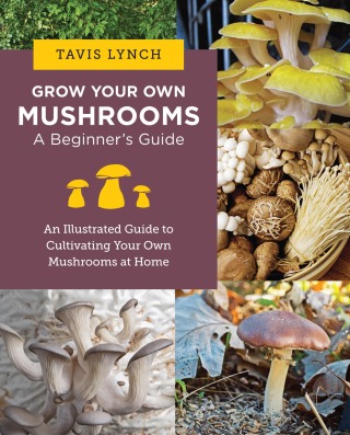 Cover image: Grow Your Own Mushrooms: A Beginner's Guide 9780760390788