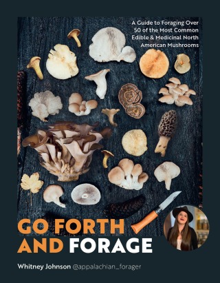 Cover image: Go Forth and Forage 9780760392751
