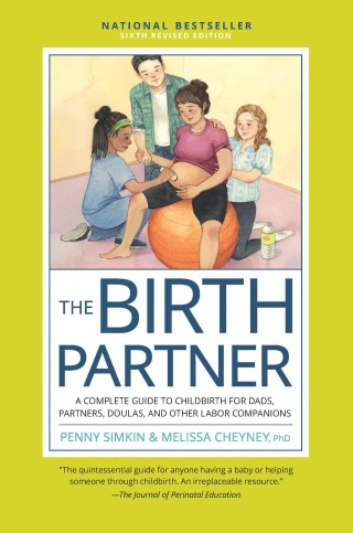 Imagen de portada: The Birth Partner, Sixth Revised Edition 6th edition 9780760393239