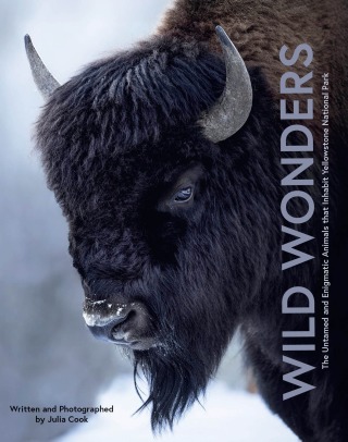 Cover image: Wild Wonders 9780760394083