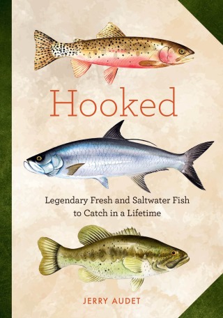 Cover image: Hooked 9781577155089
