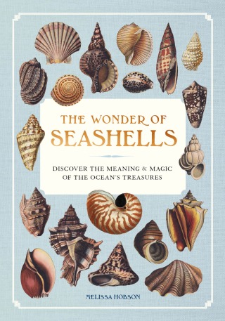 Cover image: The Wonder of Seashells 9781577155126
