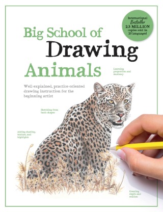 Cover image: Big School of Drawing Animals 9780760396964
