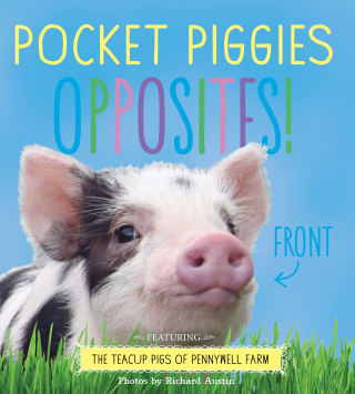 Cover image: Pocket Piggies Opposites! 9780761185482