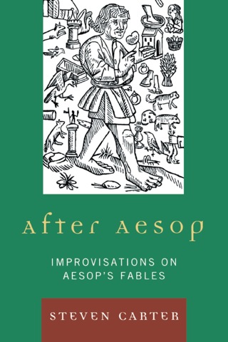 Immagine di copertina: After Aesop 1st edition 9780761851479