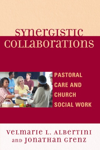 Imagen de portada: Synergistic Collaborations 9780761854302
