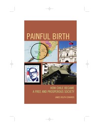 Cover image: Painful Birth 9780761859994
