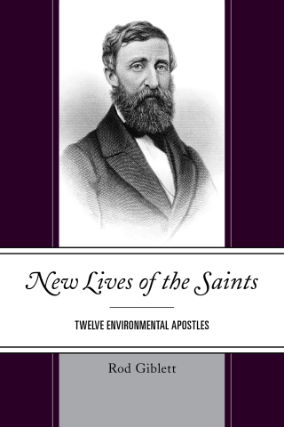 Cover image: New Lives of the Saints 1st edition 9780761871248