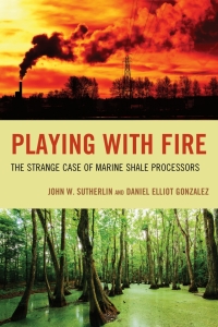 Cover image: Playing with Fire 9780761872498