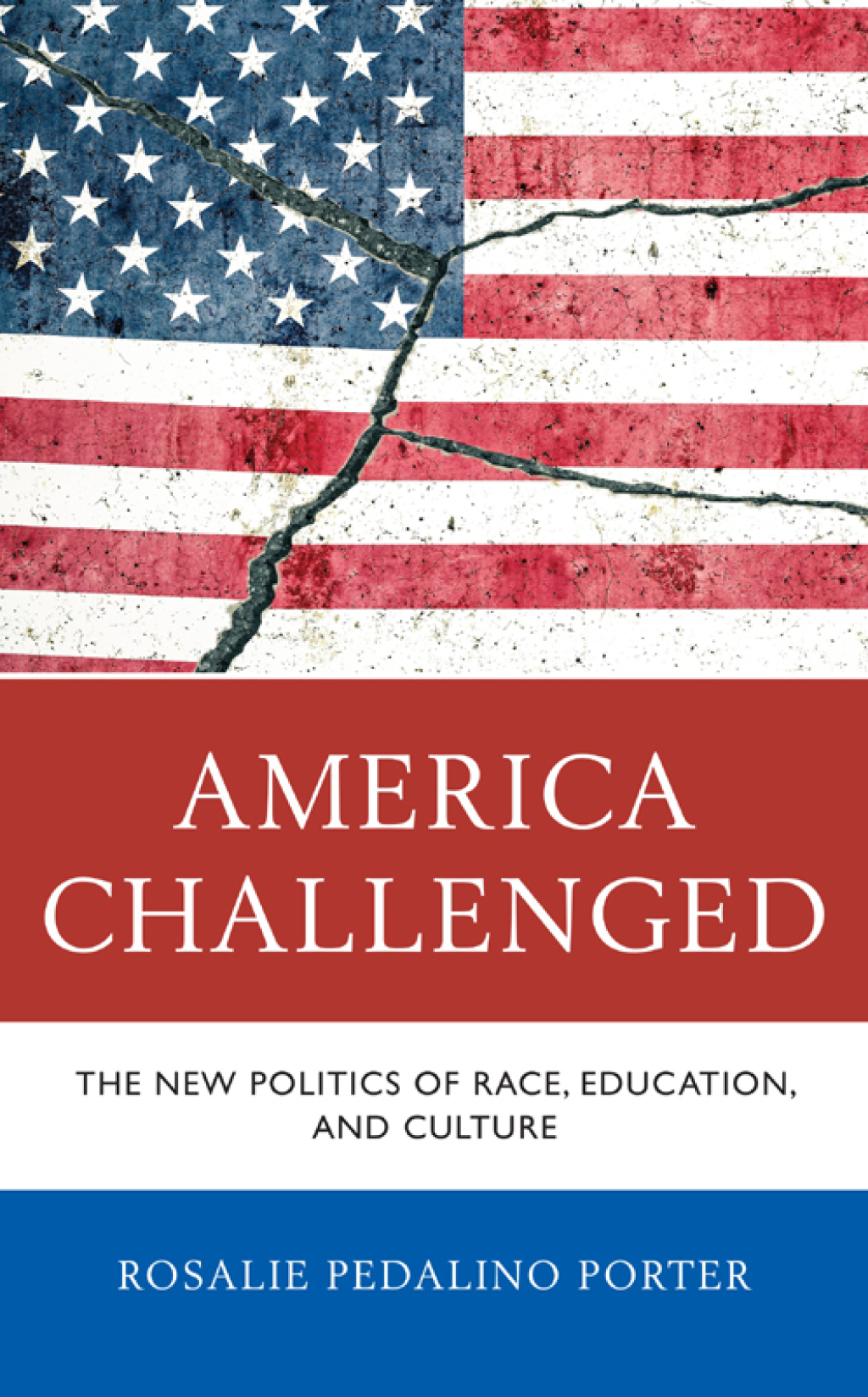America Challenged The New Politics of Race, Education, and Culture