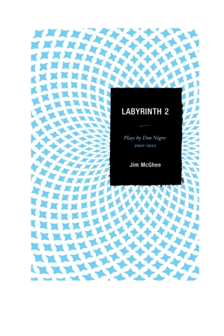 Cover image: Labyrinth 2 1st edition 9780761859802