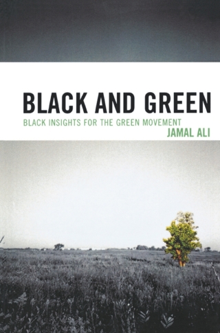 Imagen de portada: Black and Green 1st edition 9780761847212