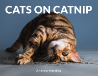 Cover image: Cats on Catnip 9780762463688