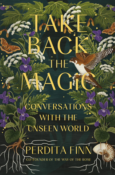Take Back the Magic: Conversations with the Unseen World - FULL INSTANT DOWNLOAD | PDF DOCX EPUB