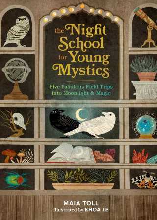 Cover image: The Night School for Young Mystics 9780762486106