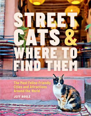 Cover image: Street Cats & Where to Find Them 9780762489145