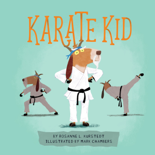 Cover image: Karate Kid 9780762493432