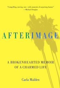 Cover image: AfterImage 1st edition 9780762780136