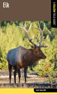 صورة الغلاف: Elk 1st edition