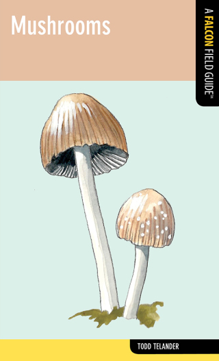 Cover image: Mushrooms 9780762776344