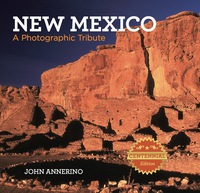 Omslagafbeelding: New Mexico 1st edition 9780762774265
