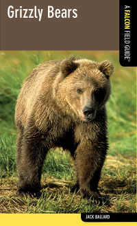 Immagine di copertina: Grizzly Bears 1st edition