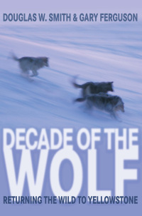 Cover image: Decade of the Wolf 9781592287000