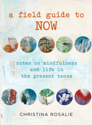Cover image: Field Guide to Now 1st edition 9780762778560