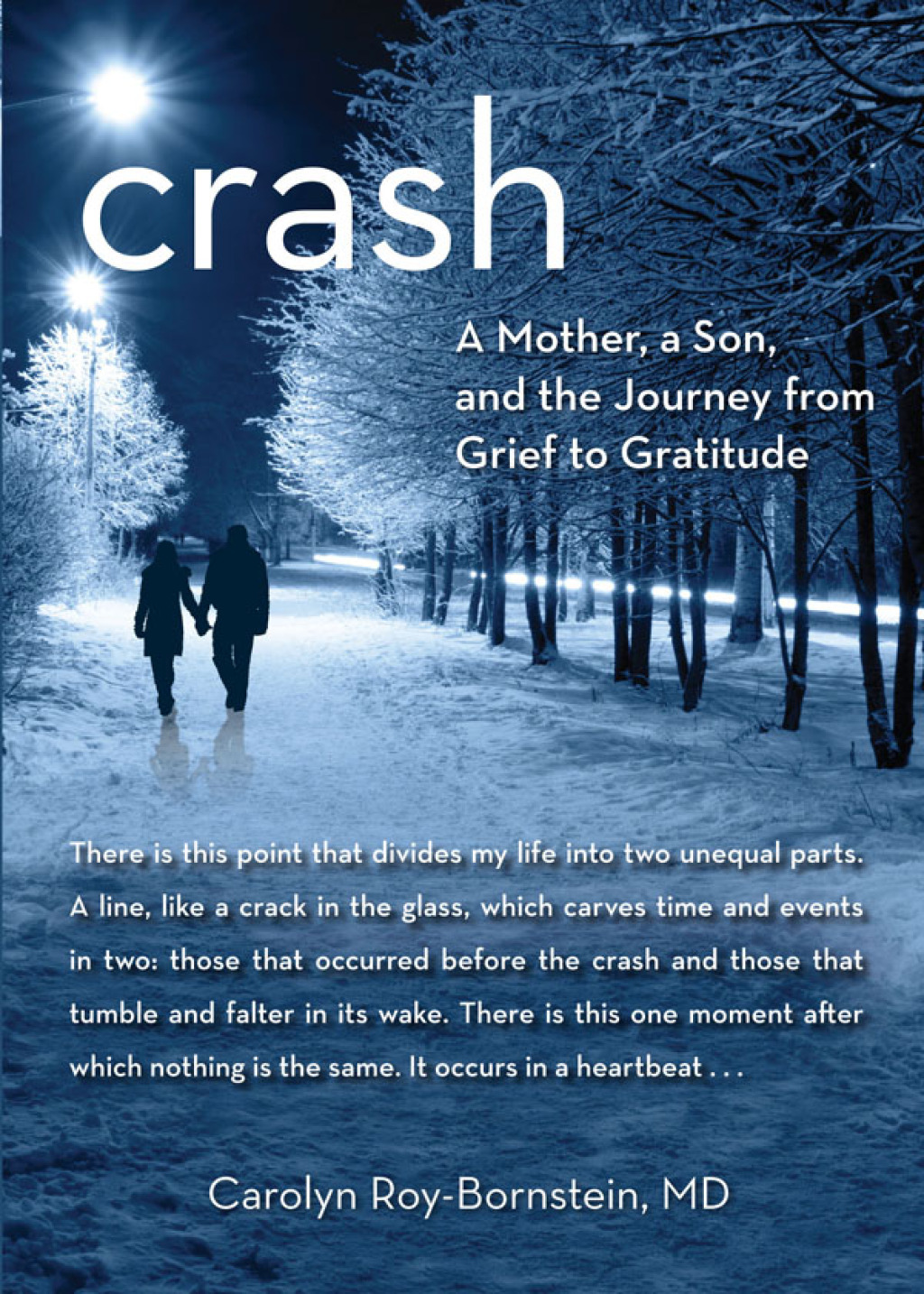 Crash A Mother, A Son, And The Journey From Grief To Gratitude 1st Edition
