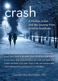 Cover image: Crash 1st edition 9780762780457