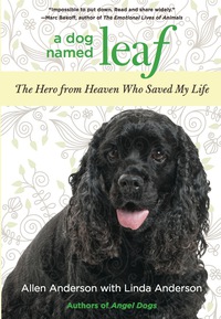 Immagine di copertina: Dog Named Leaf 9780762781652