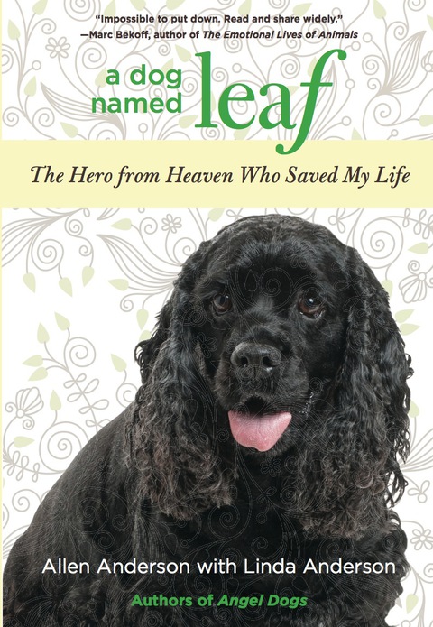 Dog Named Leaf: The Hero from Heaven Who Saved My Life (New York Times Best Seller) - FULL INSTANT DOWNLOAD | PDF DOCX EPUB