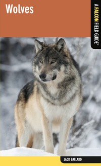 Cover image: Wolves 1st edition 9780762782352