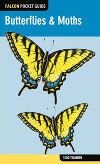 Cover image: Butterflies & Moths 9780762779338