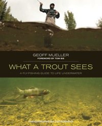 Omslagafbeelding: What a Trout Sees 9780762779840