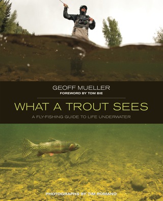Immagine di copertina: What a Trout Sees 9780762779840