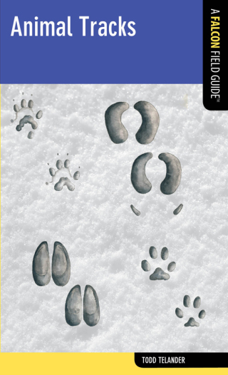Cover image: Animal Tracks 9780762774159
