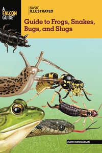 Omslagafbeelding: Basic Illustrated Guide to Frogs, Snakes, Bugs, and Slugs 1st edition 9780762782598
