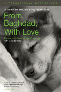 Imagen de portada: From Baghdad with Love 9781599211824