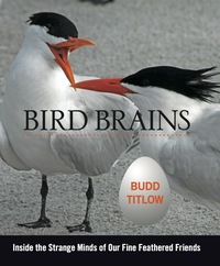Cover image: Bird Brains 1st edition 9780762787555