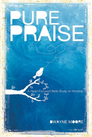 Imagen de portada: Pure Praise 9780764480850