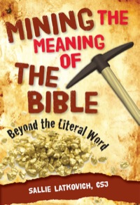 Cover image: Mining the Meaning of the Bible 9780764819827