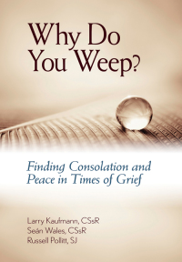 Cover image: Why Do You Weep? 9780764820779