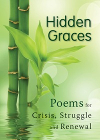 Imagen de portada: Hidden Graces 9780764819650