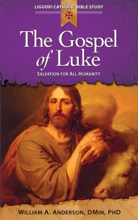 Cover image: The Gospel of Luke 1st edition 9780764821226