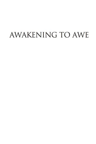 Titelbild: Awakening to Awe 9780765706645