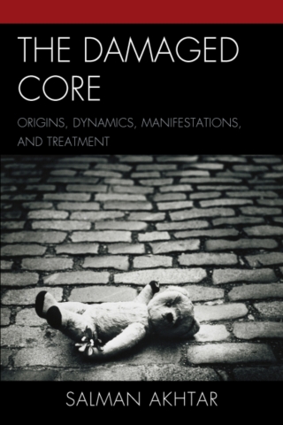 Imagen de portada: The Damaged Core 1st edition 9780765706713