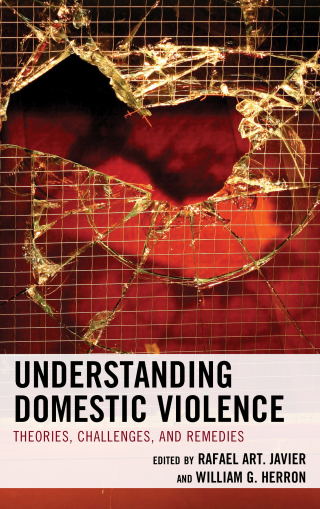 Cover image: Understanding Domestic Violence 1st edition 9780765709530