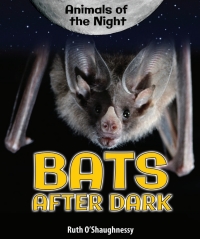表紙画像: Bats After Dark 9780766067509