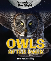 Imagen de portada: Owls After Dark 9780766067585